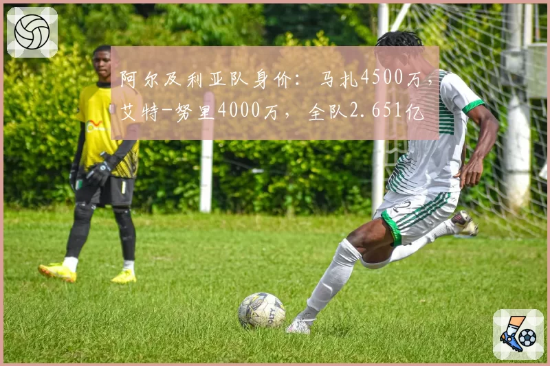 阿尔及利亚队身价：马扎4500万，艾特-努里4000万，全队2.651亿